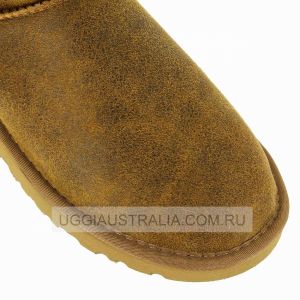 Ugg Women