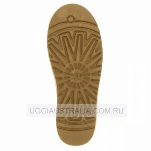Ugg Women