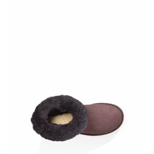 Classic Short II Chocolate